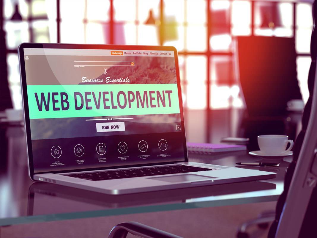 web-development-tampa