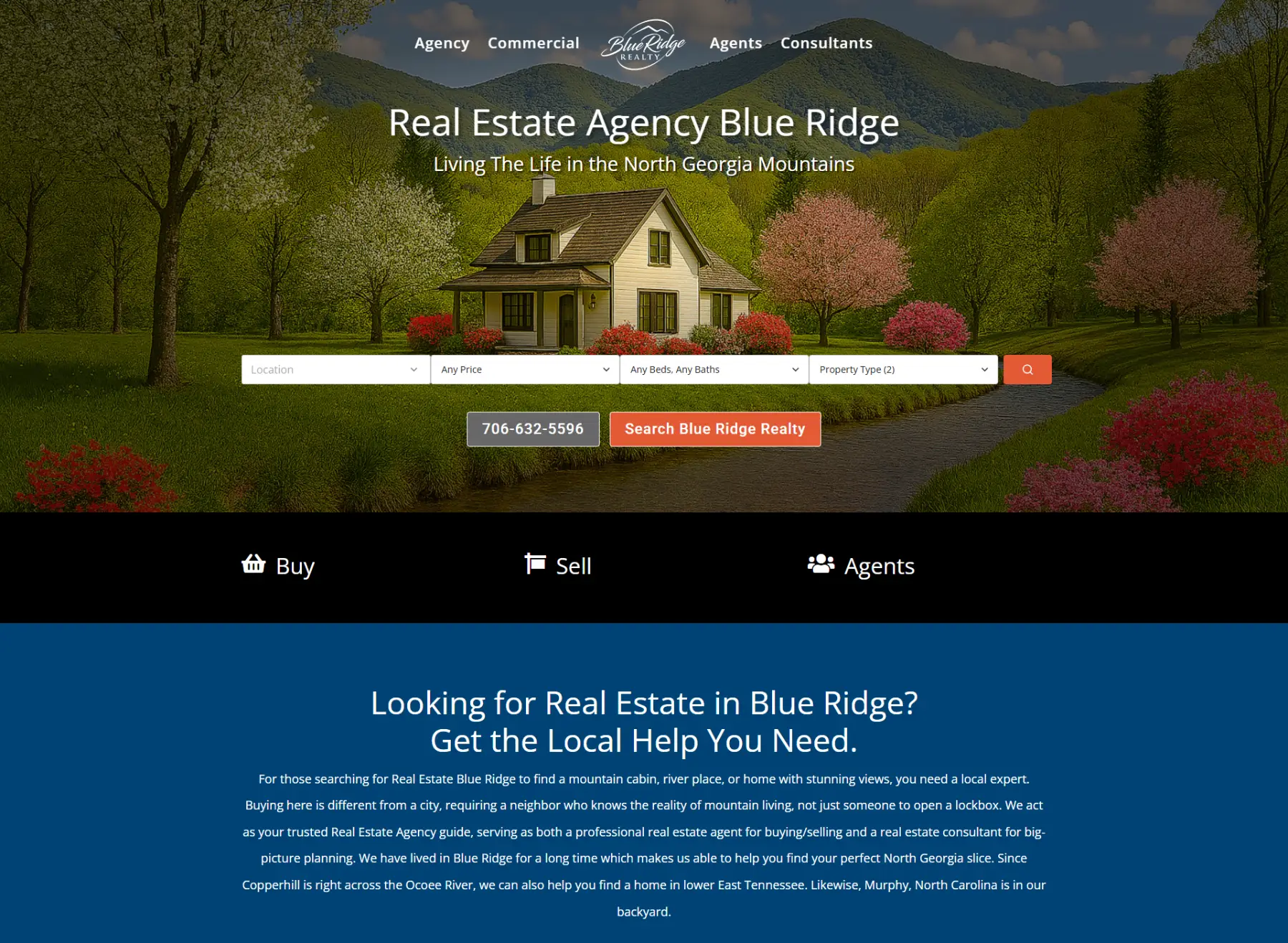 Blue Ridge Realty web image