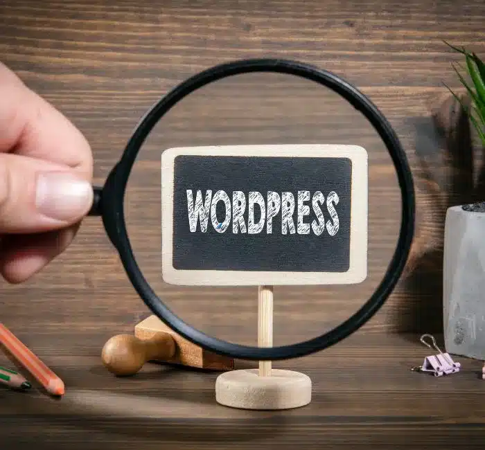 Why Clearwater Businesses Choose WordPress Websites